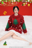 CUKE TOYS 1/6 Merry Christmas Yes Set